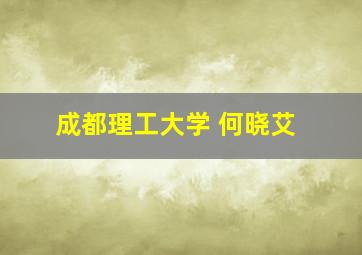 成都理工大学 何晓艾